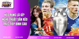 Kèo Rung Là Gì? Nghệ Thuật Săn Kèo Trực Tiếp Đỉnh Cao