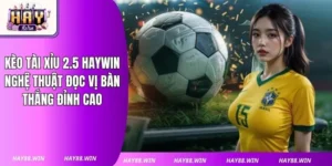 Kèo Tài Xỉu 2.5 Haywin: Nghệ Thuật Đọc Vị Bàn Thắng Đỉnh Cao