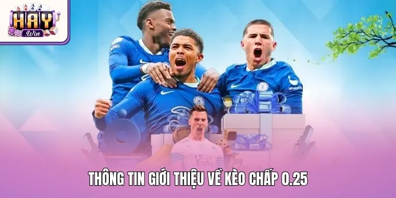 Thông tin giới thiệu về kèo chấp 0.25