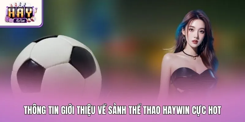 Thông tin giới thiệu về sảnh thể thao Haywin cực hot