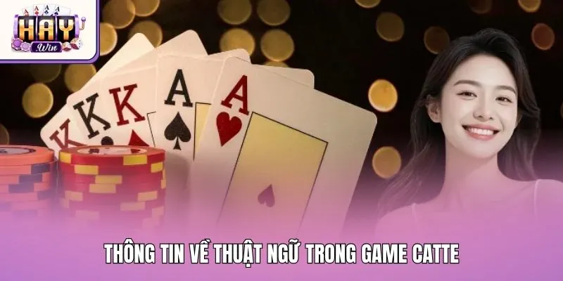 Thông tin về thuật ngữ trong game catte